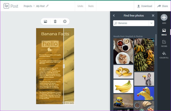 Adobe Spark