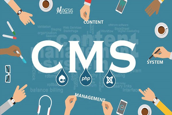 CMS چیست؟