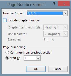 page number format 