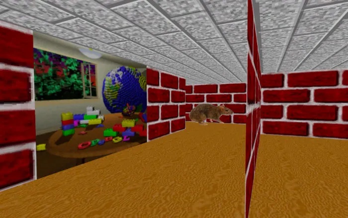 3D Maze