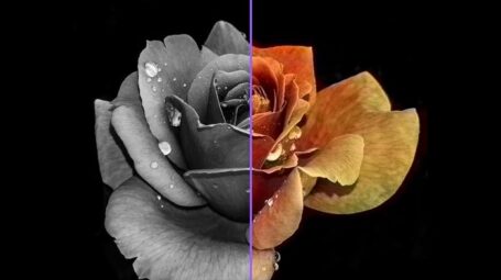 تبدیل عکس سیاه سفید به رنگی