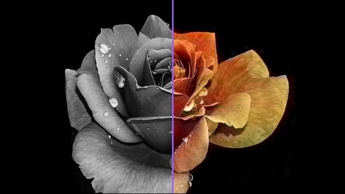 تبدیل عکس سیاه سفید به رنگی