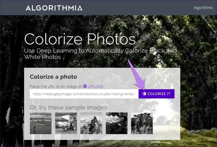 Algorithmia