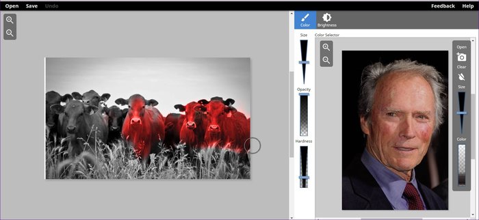 Colorize Photo