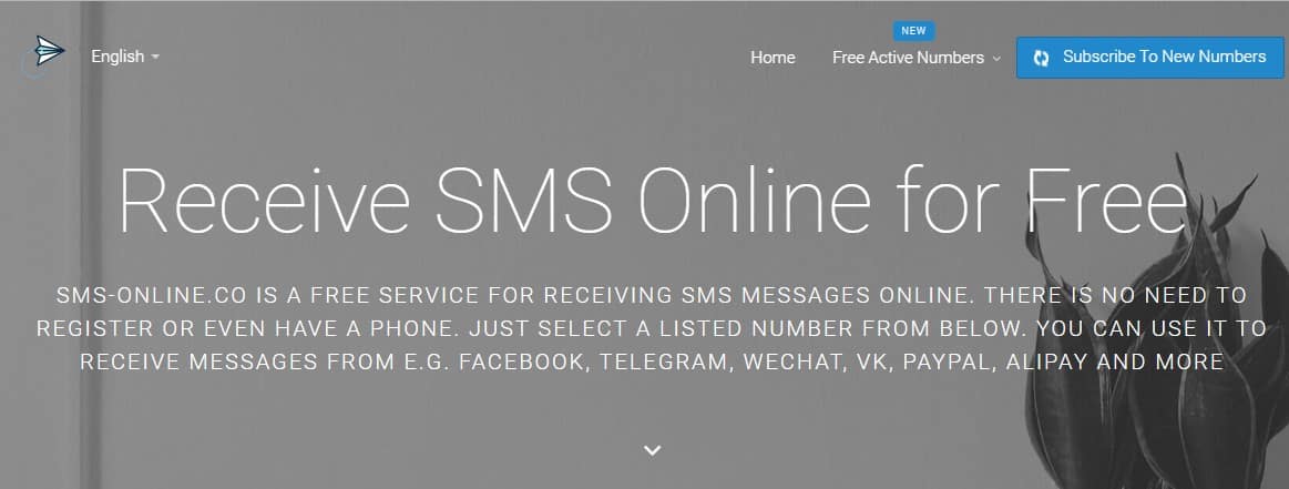 سایت دریافت آنلاین پیامک