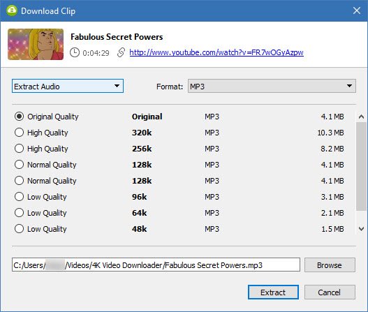 4K Video Downloader