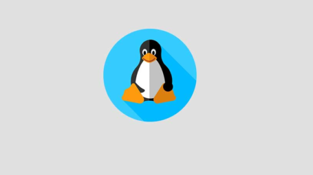 نصب Kali Linux برای کامپیوتر