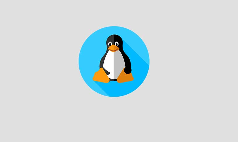  نصب Kali Linux برای کامپیوتر 