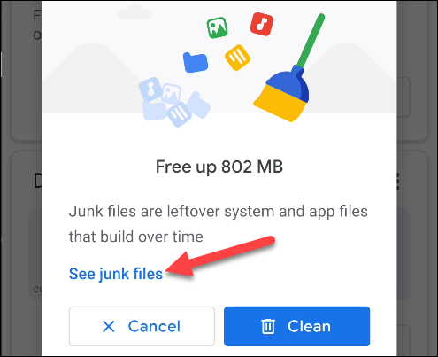 روی «See Junk Files» ضربه بزنید.