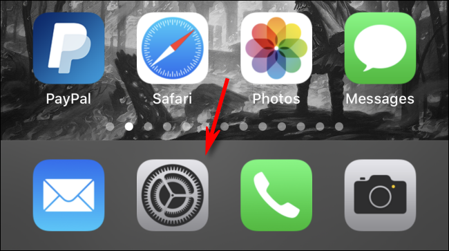 تنظیمات را در iPhone باز کنید