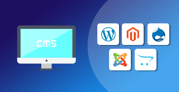 معرفی محبوب ترین و برترین CMS ها برای طراحی سایت !