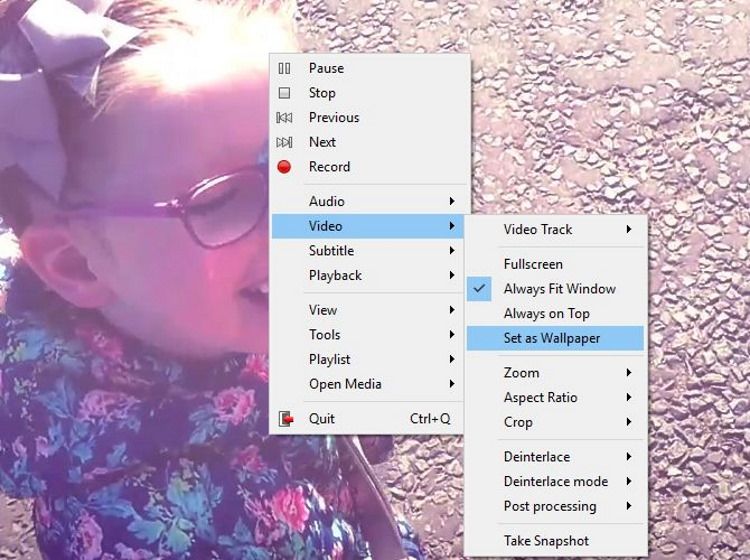 VLC Player