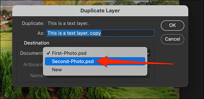 یک سند مقصد را در پنجره "Duplicate Layer" انتخاب کنید.