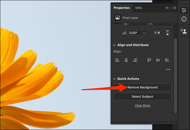 "Remove Background" در فتوشاپ