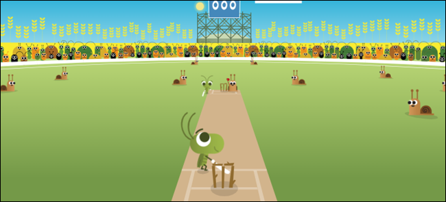 کریکت